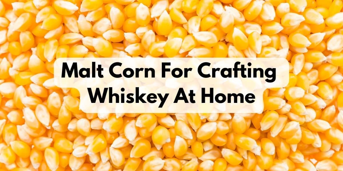How To Malt Corn For Crafting Whiskey At Home